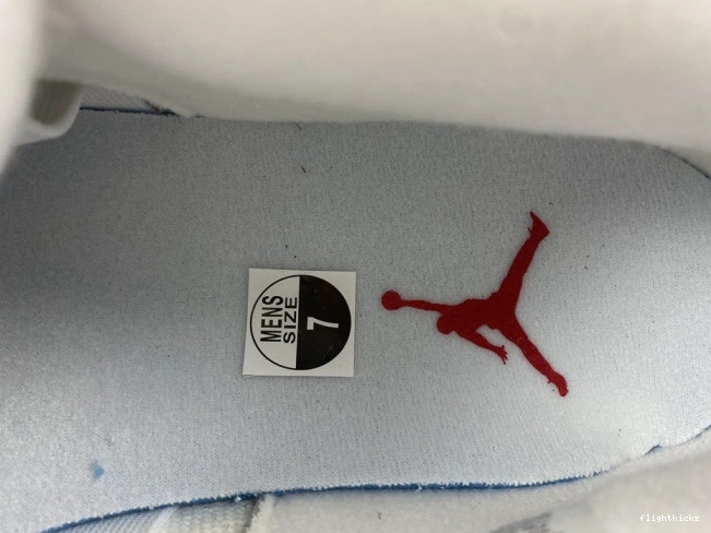 Jordan Retro Blank (W) 4 DQ4909-100 Canvas 1019